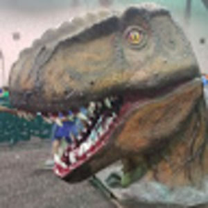 Meet your Posher, Jw